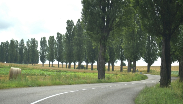 Politiques départementales de sécurité routière : Vers une meilleure compréhension des disparités et des performances entre territoires